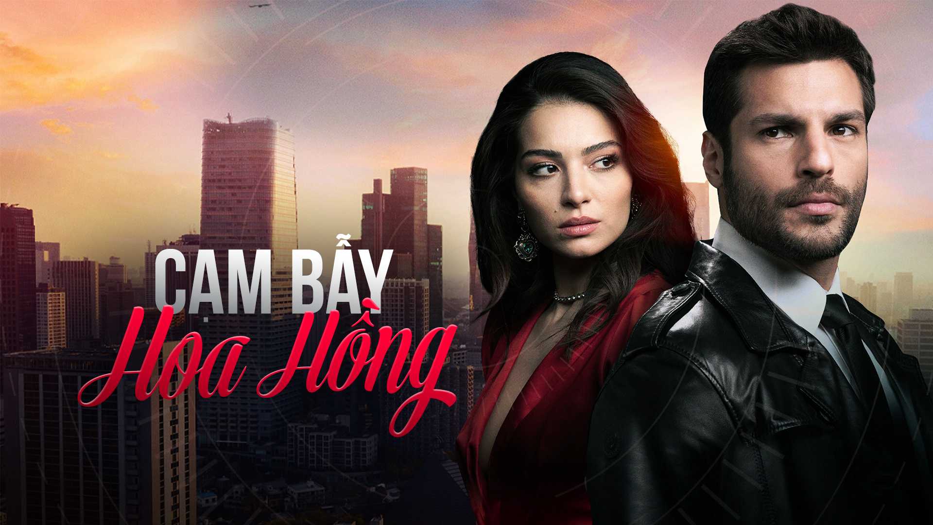 Xem phim Cạm Bẫy Hoa Hồng