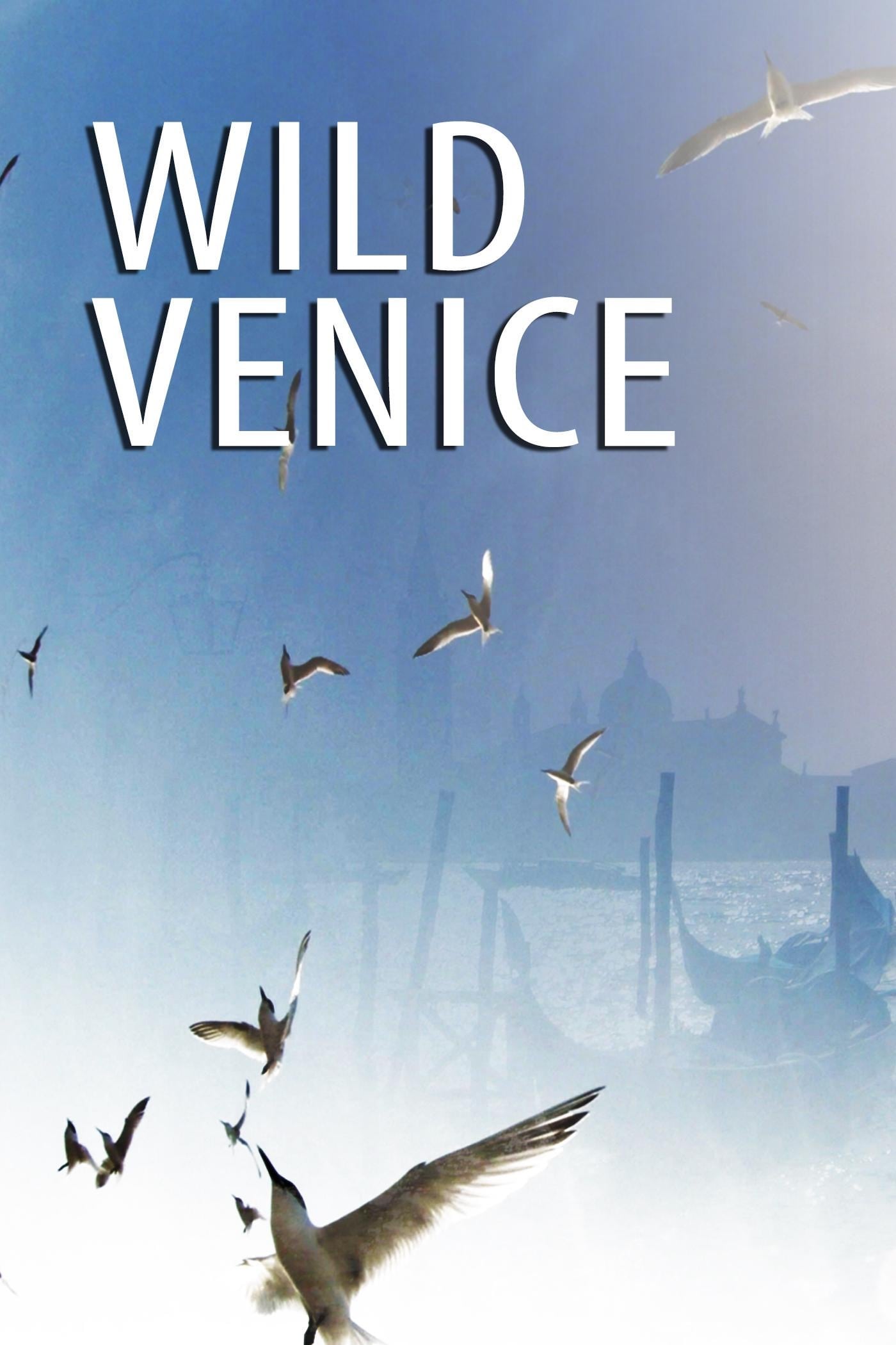 Xem phim Thiên Nhiên Hoang Dã Venice