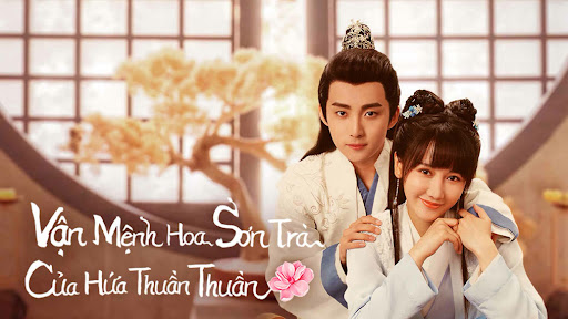 Xem phim Vận Mệnh Hoa Sơn Trà Của Hứa Thuần Thuần